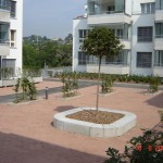 DSC00625