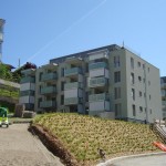 DSC03376