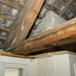 DSC_0018 A (6)